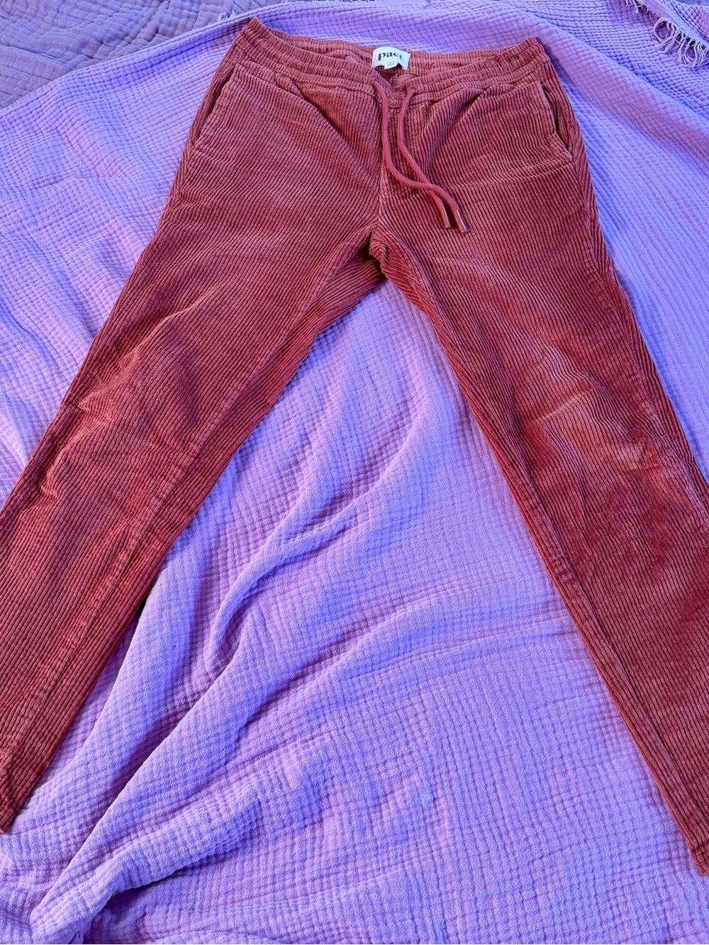 Pact Men's Corduroy Pants in Rust